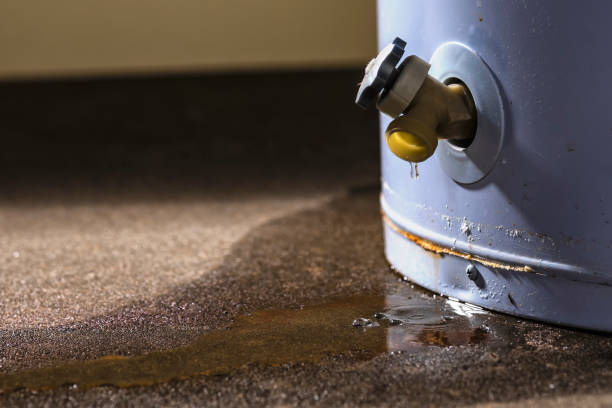 Best Flood restoration services  in Englewood, NJ