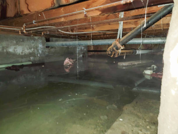 Best Basement water damage restoration  in Englewood, NJ