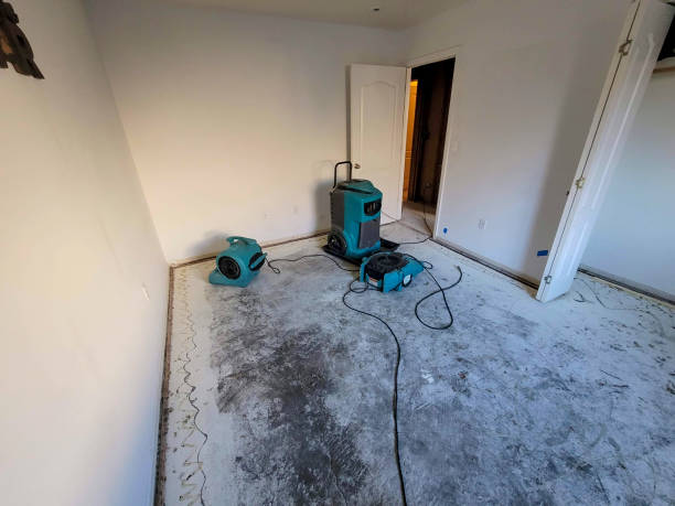 Best Fire Damage Restoration  in Englewood, NJ