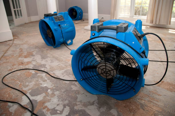 Best 24/7 water damage repair  in Englewood, NJ